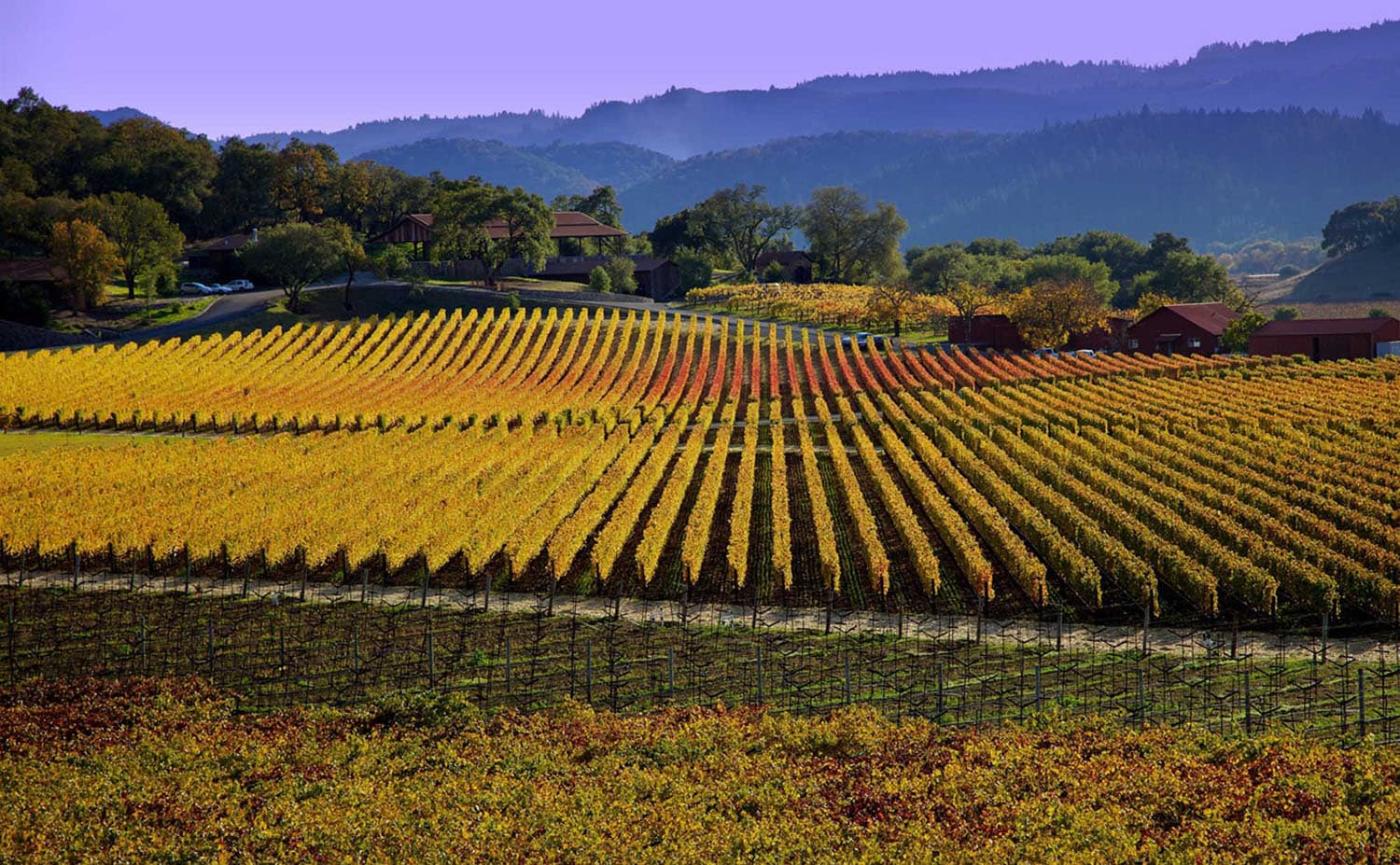 Napa image