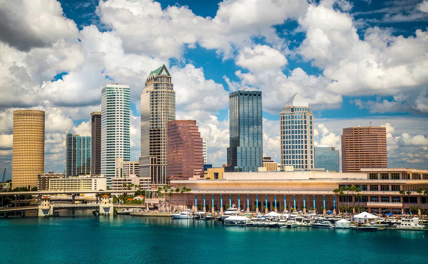 Tampa image